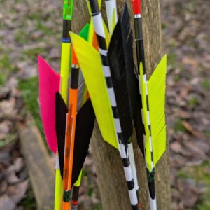 PXL_20251116_103735252