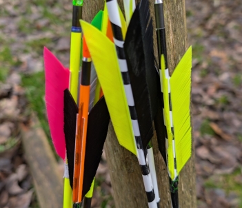 PXL_20251116_103735252